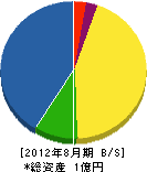 松本観翠園 貸借対照表 2012年8月期