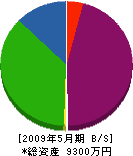 近栄通信土木 貸借対照表 2009年5月期