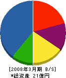 櫻川ポンプ製作所 貸借対照表 2008年3月期