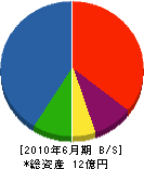 九栄建設 貸借対照表 2010年6月期