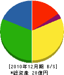 中川電気工業 貸借対照表 2010年12月期
