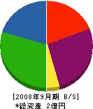 森田組 貸借対照表 2008年9月期