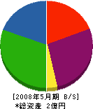 佐藤工業 貸借対照表 2008年5月期