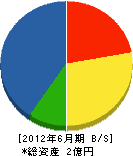 小野内工務店 貸借対照表 2012年6月期