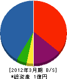 坂本設備工業 貸借対照表 2012年3月期