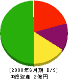 城栄道路 貸借対照表 2008年6月期