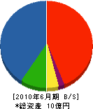 相澤組 貸借対照表 2010年6月期