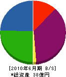 東京セメント工業 貸借対照表 2010年6月期