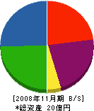 大協電通 貸借対照表 2008年11月期