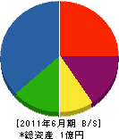 矢野組 貸借対照表 2011年6月期
