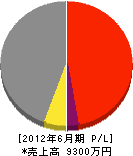 田辺材木店 損益計算書 2012年6月期