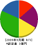 永川建設 貸借対照表 2009年9月期