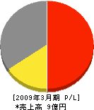 ビブレアール宮崎 損益計算書 2009年3月期