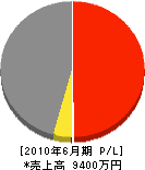 上野組 損益計算書 2010年6月期