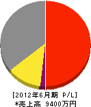 広瀬電気工事 損益計算書 2012年6月期