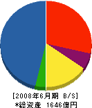 佐藤工業 貸借対照表 2008年6月期