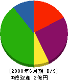 武田 貸借対照表 2008年6月期