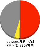 菅工務店 損益計算書 2012年6月期