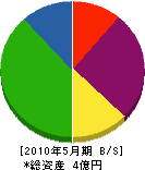 須澤電気商会 貸借対照表 2010年5月期