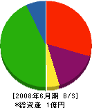 浜田建設 貸借対照表 2008年6月期