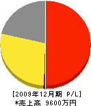 石川 損益計算書 2009年12月期