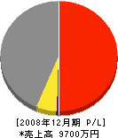 Ｓ．Ｓ工業 損益計算書 2008年12月期
