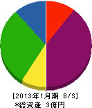 日の丸ディスプレー仙台 貸借対照表 2013年1月期
