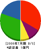 藤井製材 貸借対照表 2008年7月期