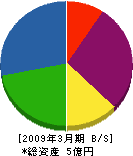 松本建設 貸借対照表 2009年3月期