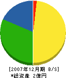 阪南企業＊安土木 貸借対照表 2007年12月期