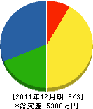 広瀬設備 貸借対照表 2011年12月期