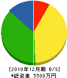平山電気店 貸借対照表 2010年12月期