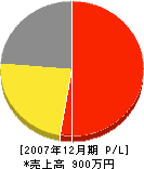 堀田塗装店 損益計算書 2007年12月期