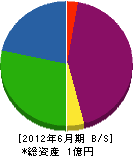 滝澤工業 貸借対照表 2012年6月期
