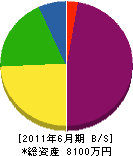 中塚建設 貸借対照表 2011年6月期