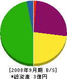 ヤマネ 貸借対照表 2008年9月期