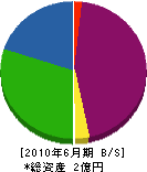 紀宝電設 貸借対照表 2010年6月期
