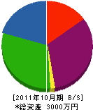 駒ケ根塗装 貸借対照表 2011年10月期