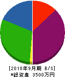 ヤマダ設備工事 貸借対照表 2010年9月期