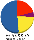 辰巳水道電気工事 貸借対照表 2011年12月期
