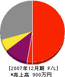岩井商事 損益計算書 2007年12月期