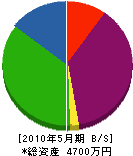 藤本工業 貸借対照表 2010年5月期