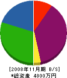 ホソヌマ 貸借対照表 2008年11月期
