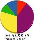 田村塗装店 貸借対照表 2011年12月期