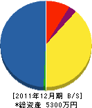 井口燃料店 貸借対照表 2011年12月期