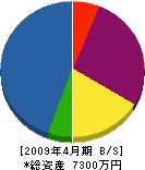 田部組 貸借対照表 2009年4月期