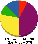 羽山設備工業 貸借対照表 2007年11月期