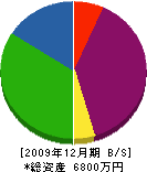 伊藤塗装 貸借対照表 2009年12月期