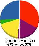 坂田工務店 貸借対照表 2009年12月期