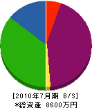 山崎電機 貸借対照表 2010年7月期